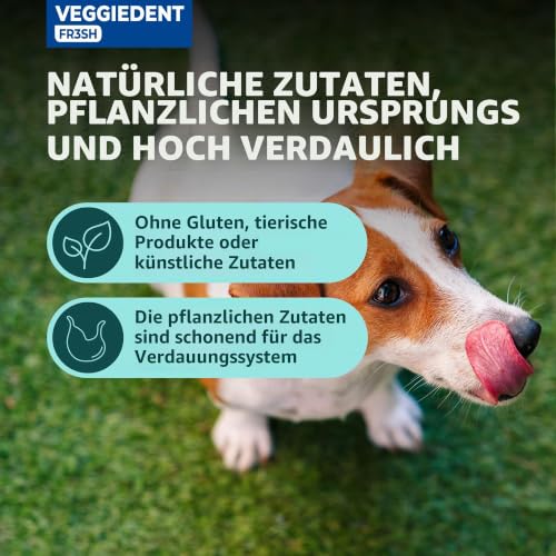 VEGGIEDENT Fresh S – Ansicht 5