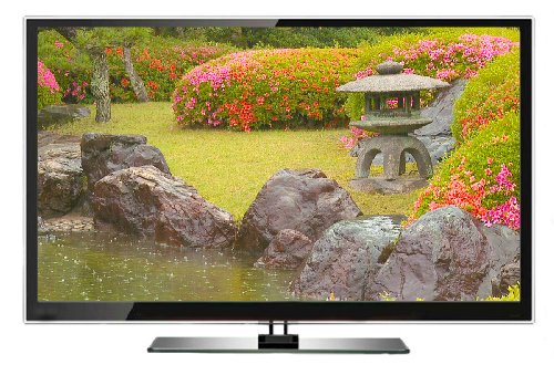 Zen Relaxation DVD - Giardini Giapponesi per