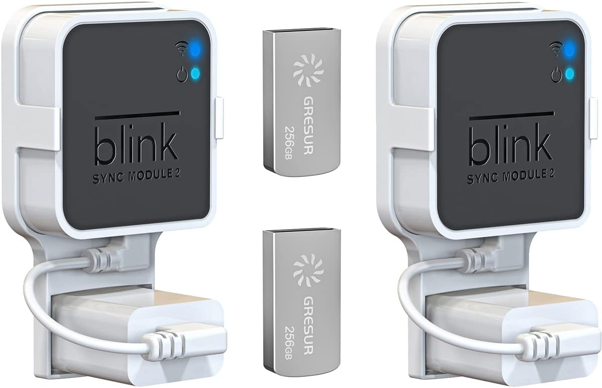 256GB USB Flash Drive for Local Video Storage with The Blink Sync Module 2 Mount (Blink Add-On Sync Module 2 is NOT Included), 2Pack
