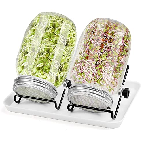 Diealles Shine Juego de 2 Tarros de Cristal Germinado de 950 ml para Brotes con 2 Soportes Ajustables, 2 Filtros de Acero Inoxidable, 1 Plato de Plástico, Tarro de Brotes para Cría de Brotes