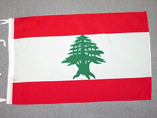 AZ FLAG, Lebanon Flag, 18'' x 12'', 100% Polyester Lebanese Small Banner with Two Cords, Fade Resistant, Vivid Colors
