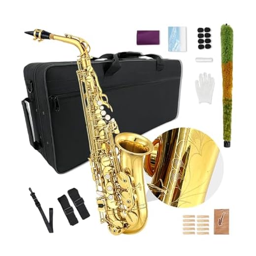 YoungMonic Kit completo de saxofón alto E Flat para adultos, saxofón alto, con funda de transporte, correas para boquilla, lengüetas, saxofón, kit para principiantes