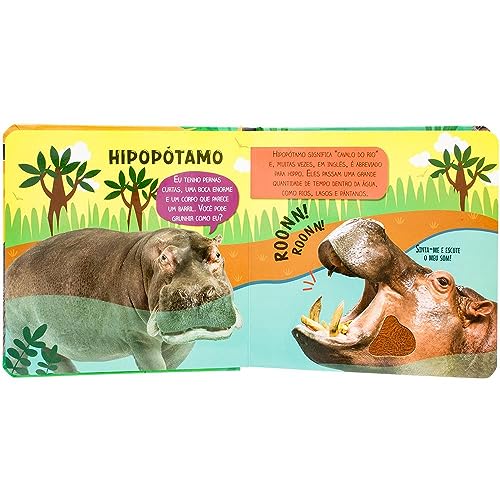 Toque, Sinta e Escute! Selva: Toque, Sinta e Escute! Selva: - Imagem 3