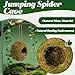 Jumping Spider Moss Cave Hide, Round Yellow Small Spider Moss Hideout, Jumping Spiders Cave Accessory for Reptile Terrarium