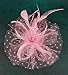 Cizoe Fascinators Hat for Women Tea Party Headband Kentucky Derby Wedding Flower Cocktail Mesh Feathers Hair Clip(1-Pink)