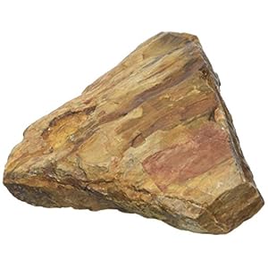 Croci A8047947 Roca Petrified, S, 0.5 kg