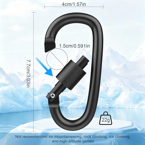 Image of 2-Pack Locking Carabiner Clips with Screw Gate - Heavy-Duty D-Shaped Spring Hook for Backpack, Fishing, Travel, Keychain, Camping & Hiking(Black*2)