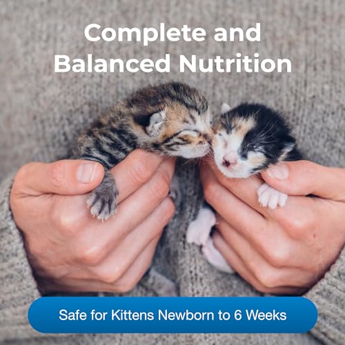 Pet-Ag PetLac Powder for Kittens - 10.5 oz, Pack of 4 - Kitten Milk Replacement Powder for Kittens Newborn to Six Weeks Old - Easy to Digest
