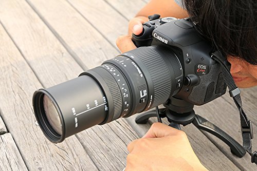 Sigma 24-70mm f/2.8 lens