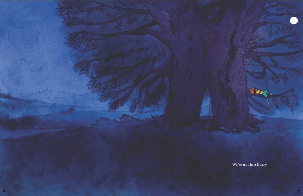 A Tree is a Time Machine      Hardcover – September 30, 2025