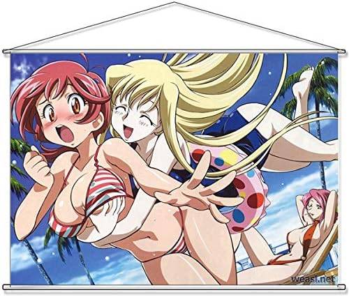 Amazon 神魂合体ゴーダンナー 葵杏奈 葵霧子 ミラ アッカーマン B2タペストリー 約72 8cm 51 5cm アニメ 萌えグッズ 通販