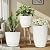 Flomiara Set of 2 Tall Round Planters, Large Outdoor Planter with Drainage Holes & Trays, 18 Inch Long Plastic Flower Pots for Plants, Decorative Garden Pot for Indoor Patio Front Porch Decor, White