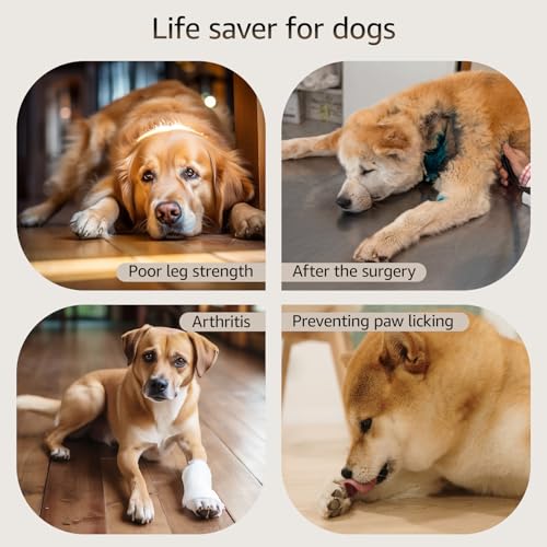 image for Loobani Paw Pads for Dogs Traction: Anti-Slip Dog Paw Protector for Se