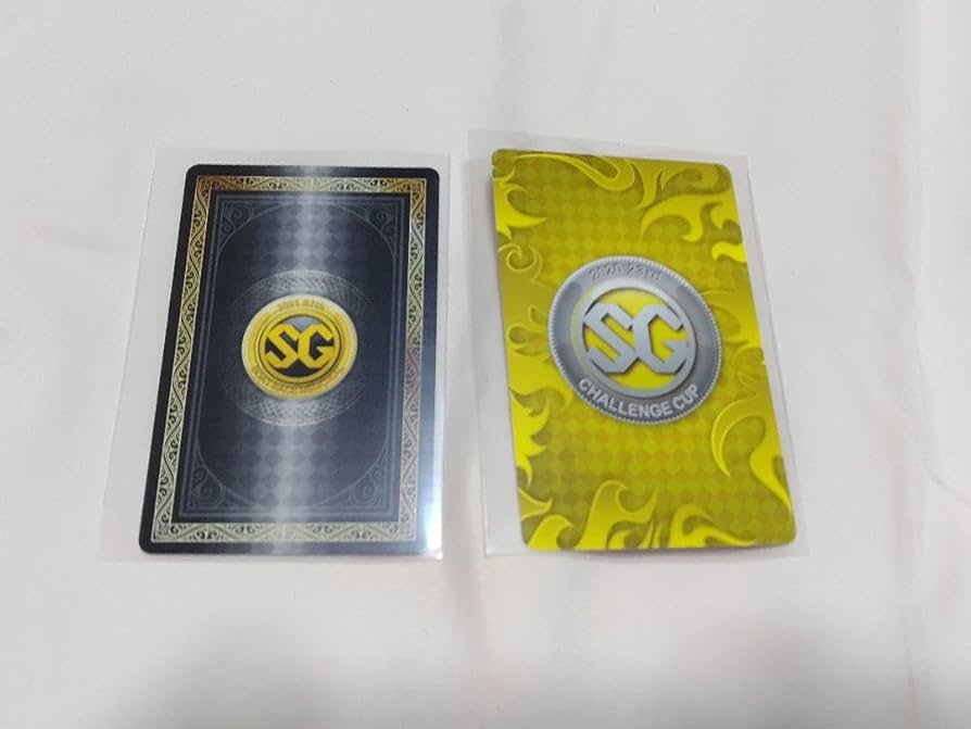 ボートレーサー　峰竜太選手　サイン入りクッション ボートレーサー 峰竜太選手 サイン入りクッション ボート