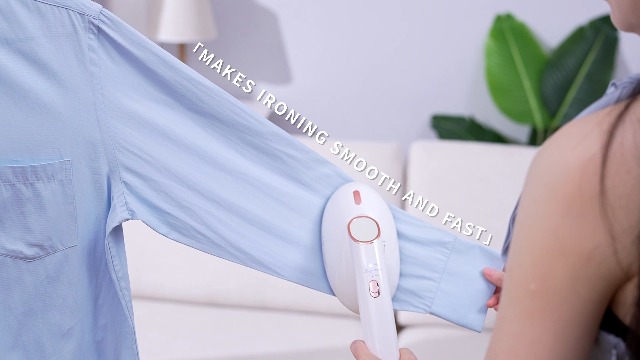 Amazon.com: Steamer for Clothes, 1500W Large Soleplate Clothes