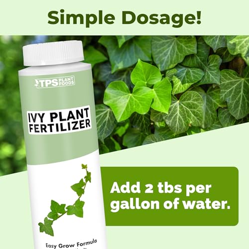 Ivy Plant Food – Fertilizante Líquido para Plantas de Hiedra, 8 oz miniatura 3