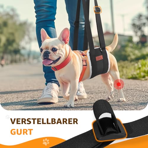 Verstellbarer Hunde Tragehilfe, Tragbarer Tragegurt zur Rehabilitation von kleine Hunden - Gehhilfe mit Griffen als Sicherheitsunterstützung für behinderte, verletzte oder ältere Hunde