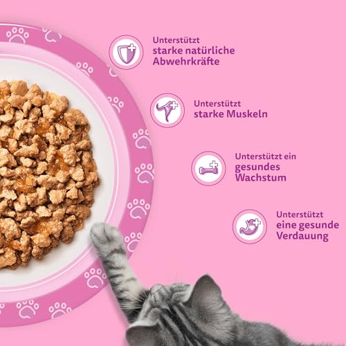 WHISKAS Junior Nassfutter Portionsbeutel Multipack, Geflügelauswahl in Gelee, 12 x 85g
