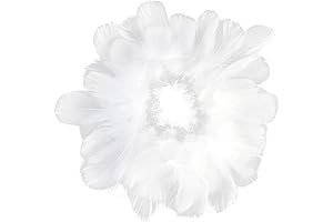 obmwang 100% Natural Goose Feathers