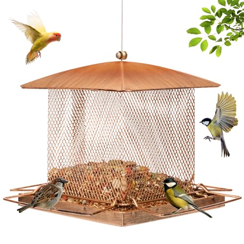 Buseeau Bird Feeder, Heavy Duty Metal Bird Feeders for Outdoors Hanging, 3.5LB Large Capacity Squirrel Proof BirdFeeders with Rainproof Roof, for Garden Yard Outside Backyard