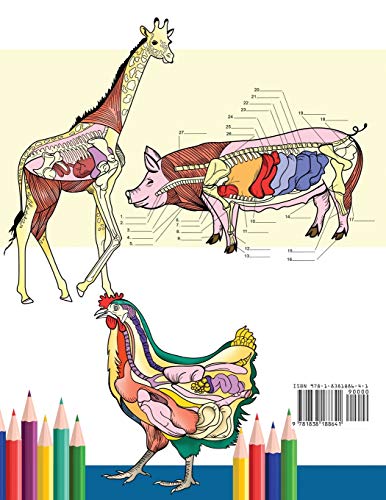 Libro para colorear de anatomía veterinaria: Libro de trabajo para colorear de autoevaluación de fis