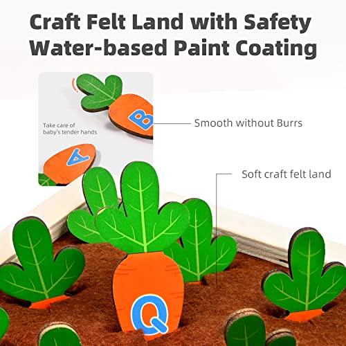 Giochi Montessori Legno per Bambini 2 Anno, Bimbo