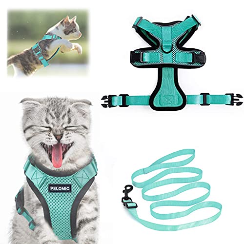 SHUANGJUN Katzengeschirr mit Leine, Geschirr für Katzen Verstellbar mit Reflektierenden Streifen, Weich Air Mesh Ausbruchsicher Welpengeschirr für Kleine Katze und Hunde Hundeweste (XS) Cover