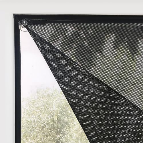 SCHRLING No Drill Cordless Light Filtering Window Shade, Transparent Temporary Shade for Filtering Glare, 39" W x 63" L with Suckers, for Living Room, Bedroom