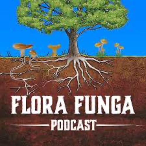 Magic Lichens & More with KK from Flora Funga cover art