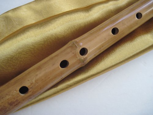 6 Hole Shakuhachi Dongxiao Bamboo Flute G Key Zen Instrument Kinko #TOP1