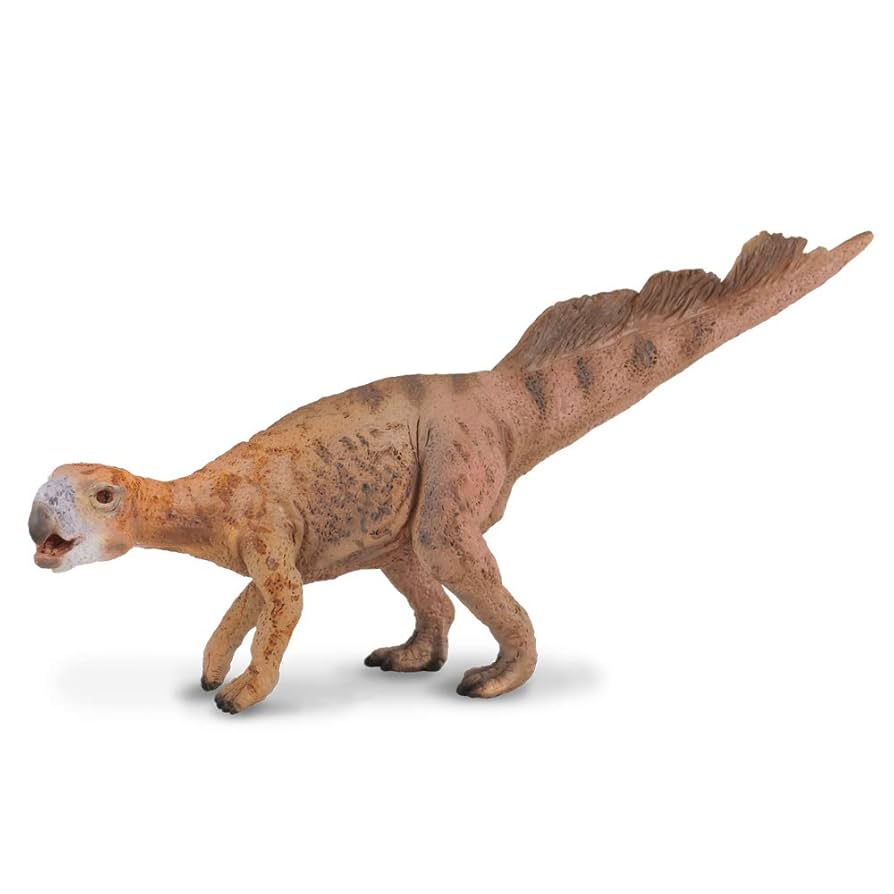 Amazon.co.jp: Collecta プッシタコサウルス : おもちゃ