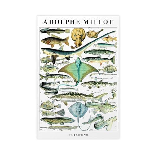 Poster poisson Adolphe Millot pour habiller un mur vide avec une toile esthétique