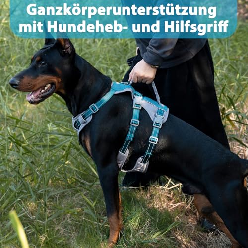 Huntboo Sicherheitsgeschirr Hund Ausbruchsicher, Panikgeschirr für Hunde, Reflektierendes Geschirr Hund mit Griff, Verstellbare Hundegeschirr für kleine, mittelgroße und große Hunde (Blaugrün,M)