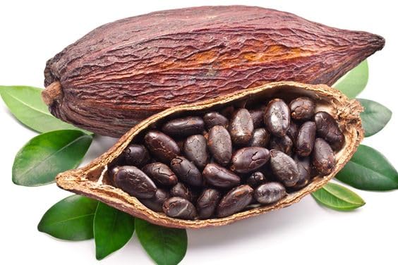 Midday Wayanad Cocoa Beans | fermented | Sun dried | 100g from Kerala (B0CG3W4KX7) Amazon Price History, Amazon Price Tracker