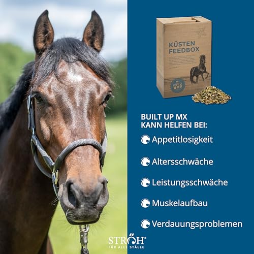 STRÖH Küsten Build up MX (30 kg Feedbox) • Hochwertiges Aufbaumüsli • Ideal für Sport- & Turnierpferde • Pferde Müsli mit Vitamin E, A, B12, D3, Biotin, etc. • Pferdefutter Müsli
