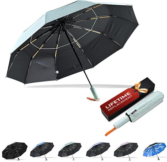 DryDay Travel Umbrellas for Rain - Large Windproof Double Canopy Umbrella, 10 Durable Ribs, Strong Frame, Auto Open Close Ergonomic Handle, Compact