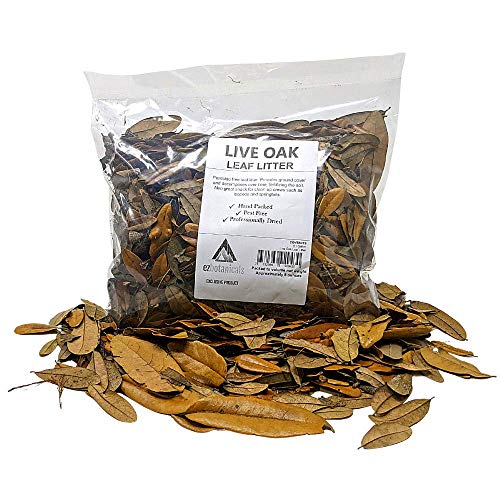 EZ Botanicals a Division of DBDPet s Live Oak Leaf Litter - Favorite Species of Leaf Litter for Dart Frogs, Geckos, Isopods, Springtails, and More! Perfect for Bioactive Terrariums & Vivariums