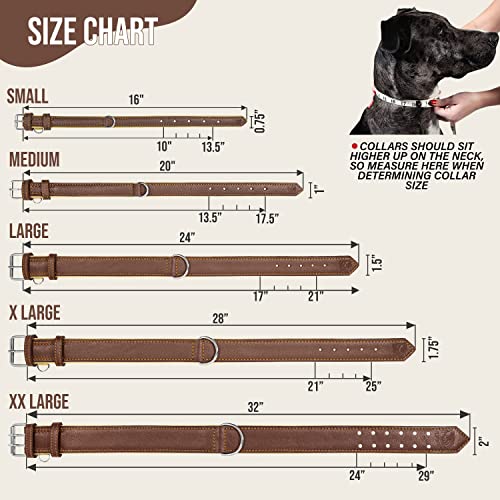 Riparo Echtes Leder Verstellbares Hundehalsband mit Zusätzlicher Verstärkung (L: 3,8CM Breit für 43,2CM - 53,3CM Hals, Braun)