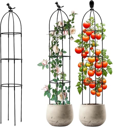 Tuteur de Jardin 120 cm Obélisque Amovible - Support pour Plantes grimpantes - Hauteur du Treillis - Convient pour Toutes Les Plantes grimpantes