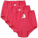 Candyland Brief Panty For Girl's - 3 Pack - Full Cut Soft Cotton
