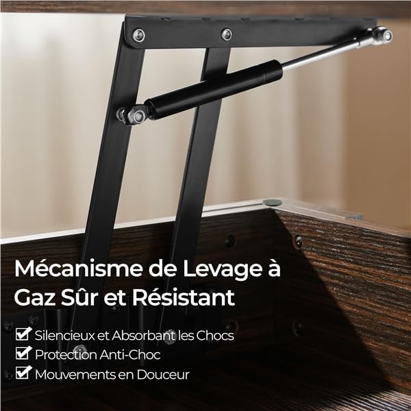 Close-up of the gas lift mechanism