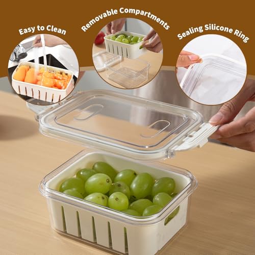 Image of HOKIPO Fridge Storage Containers - BPA Free Food Grade Plastic Organizers for Refrigerator & Freezer | Vegetable Crisper Box & Kitchen Storage Set (AR-6099)