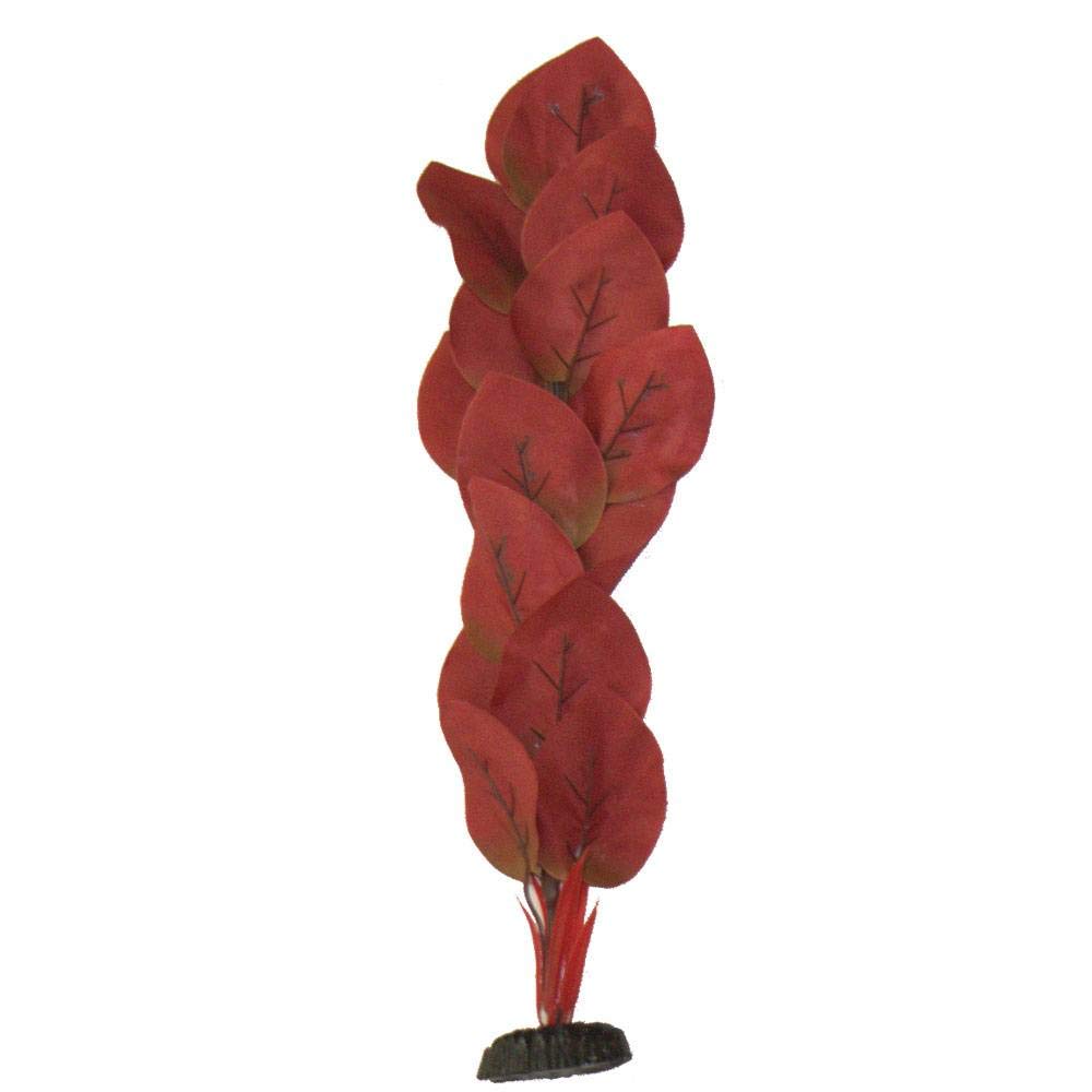 Ozelot Red Silk Like Plant 30cm by KenKoi