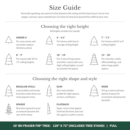 Image of Balsam Hill BH Fraser Fir - Full Christmas Tree with Most Realistic True Needle Foliage, Easy Plug Technology & Multiple Height and Lighting Options, LED Clear, 10ft