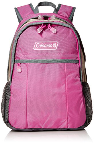 ウォーカーミニ