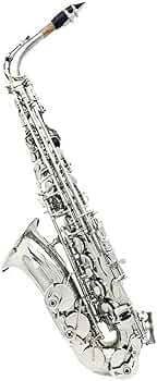 51Di-1YlrZL._AC_UF350,