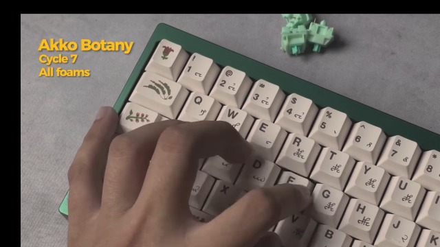 Amazon.com: Akko Botany Keyboard Switch for Mechanical Gaming