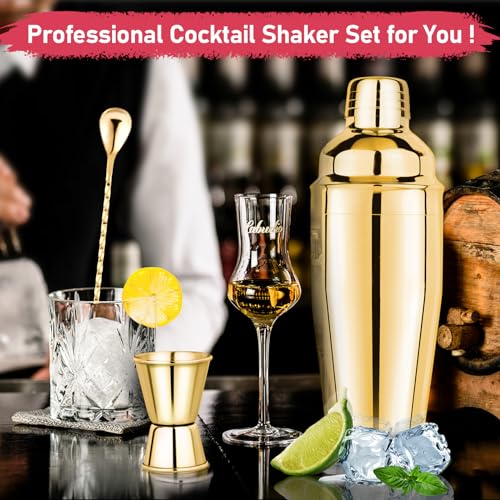 25oz Cocktail Shaker Set Martini Shaker Set Bartender Set with Margarita Mixer Drink Shaker, Measuring Jigger and Mixing Spoon - Professional 18/8 Stainless Steel Bar Tools for Mixed Drinks (Gold)