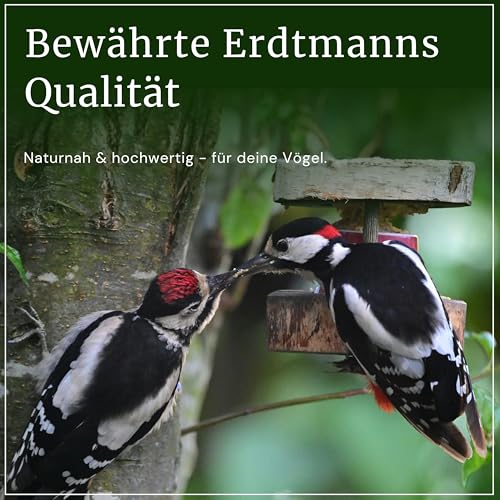 Erdtmanns Streufutter für Wildvögel – Futtermischung mit Sonnenblumenkernen, Hirse & Getreide – energiereiches Vogelfutter für Ganzjahresfütterung – für Garten, Balkon & Futterhaus (10 kg)