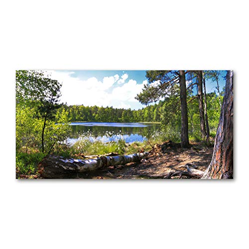 Crédence de cuisine anti projection fond de hotte verre trempé 100x50cm forêt verte